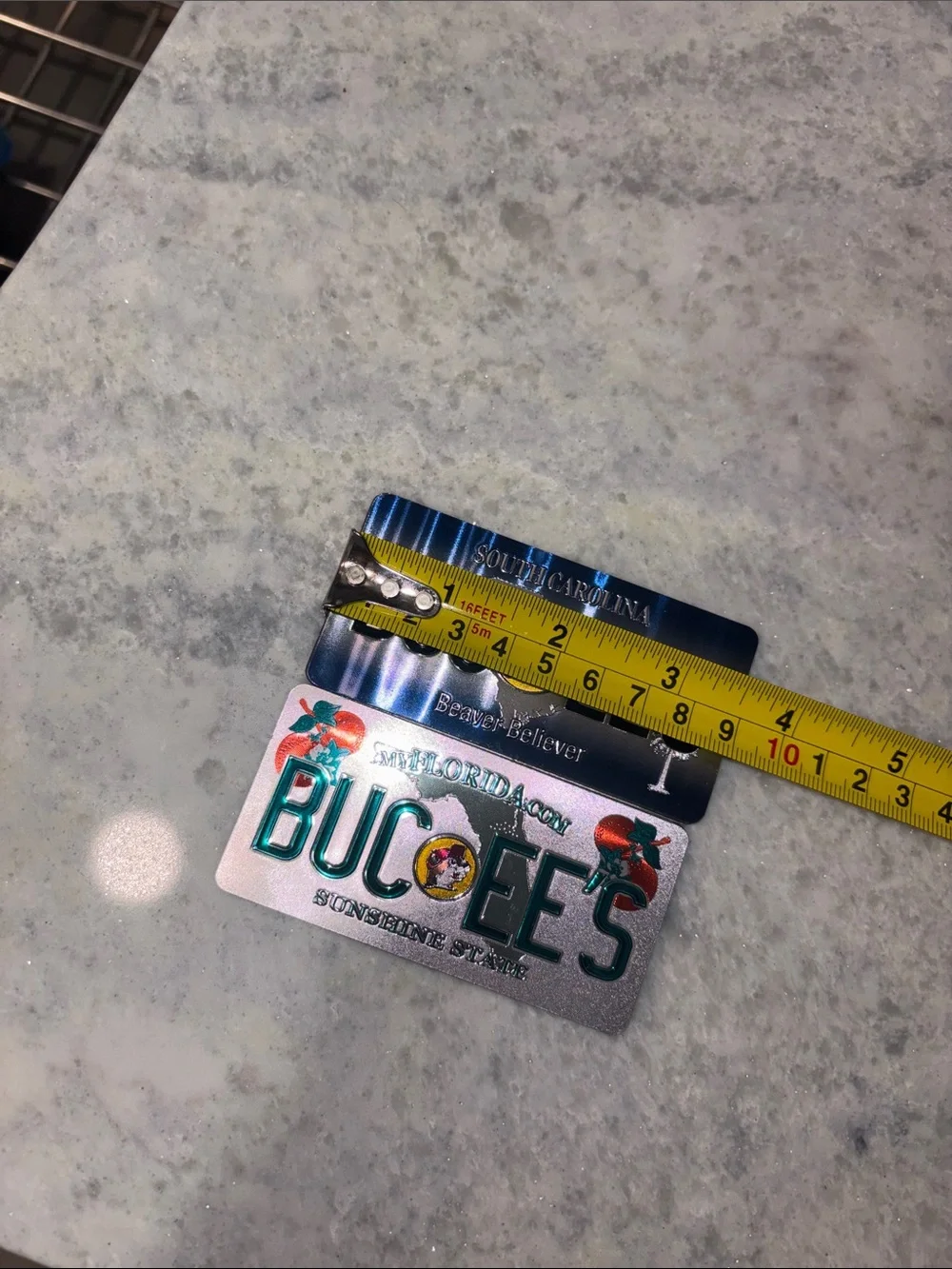 Buc-ee's Collectible License Plate Magnets